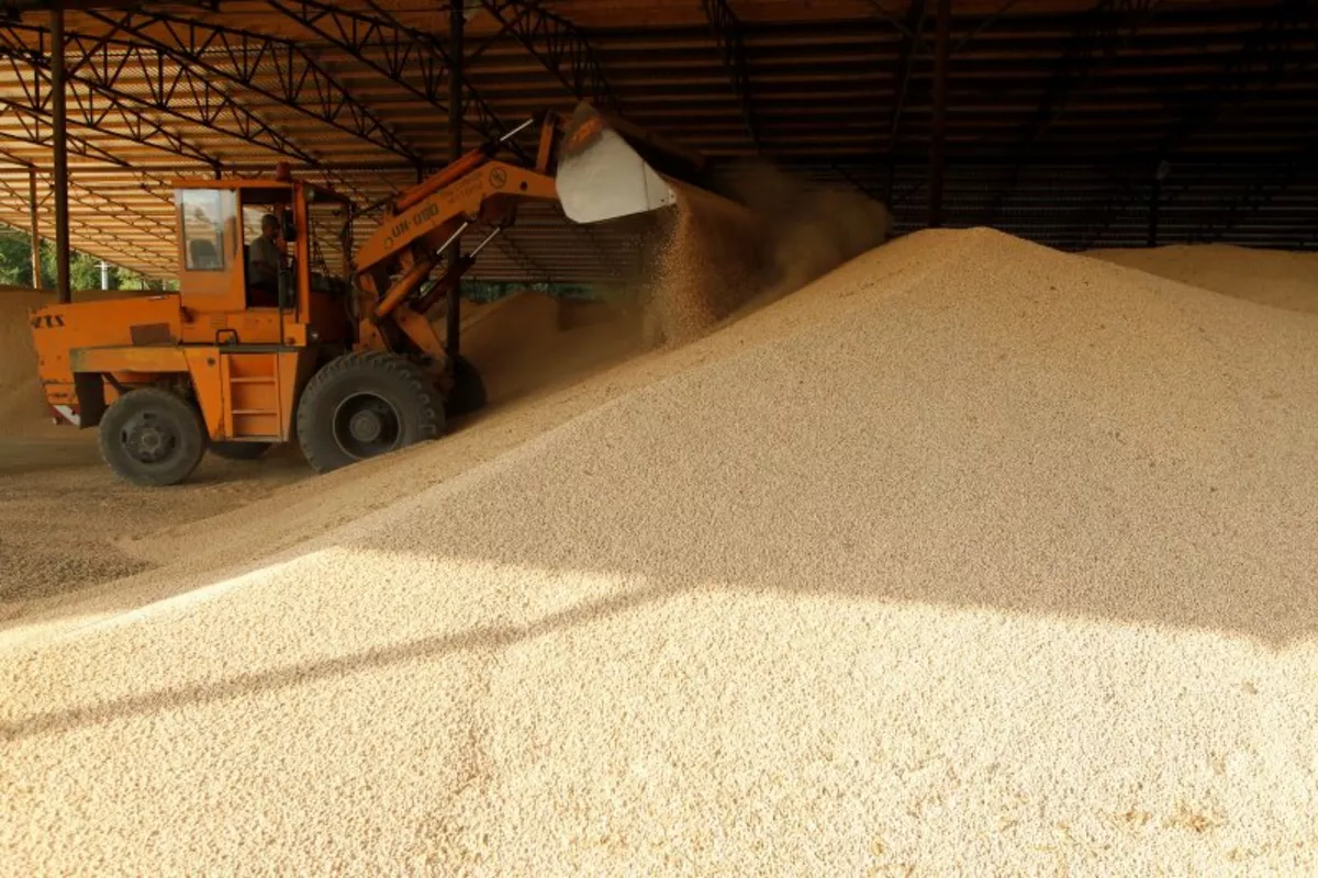 Russia Exports First Batch of Rye Flour to China