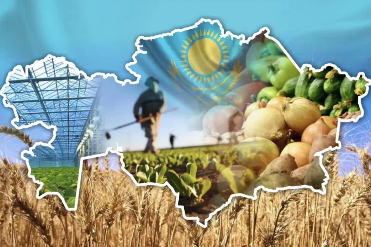 Kazakhstan's Food Production Sees 10% Growth in H1