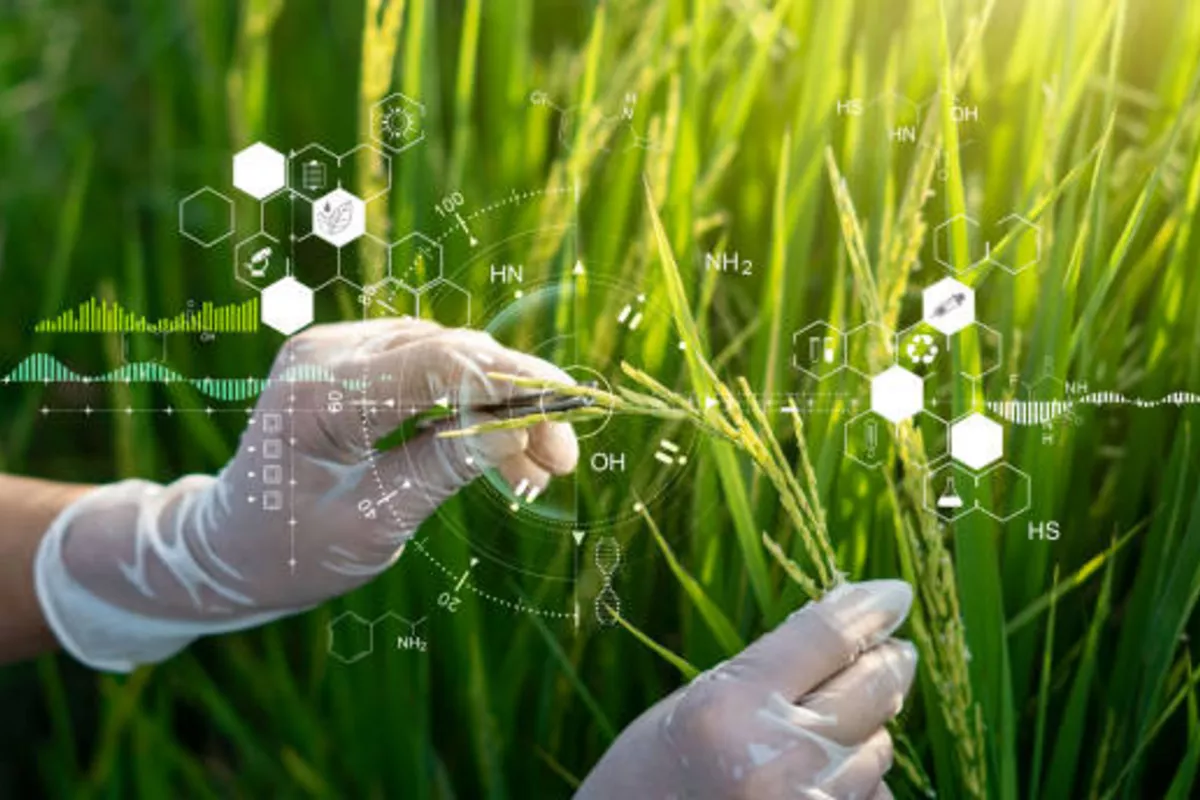 Uzbekistan Eyes Agricultural Innovation Through Chinese Partnership