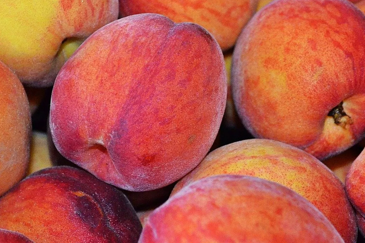 Russia Bans Imports of Turkish Peaches and Other Stone Fruits From Five Exporters