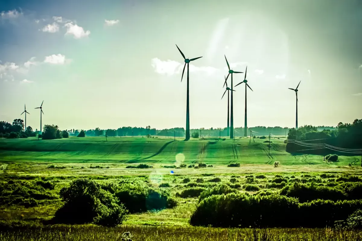 Green Industry is Becoming the Middle East's Most Practical Form of Resilience