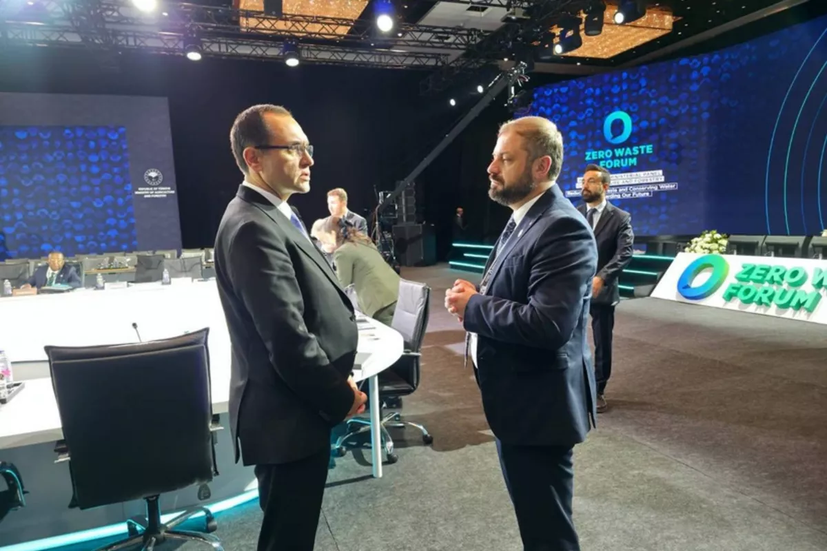 Papoyan Confirms Meeting with Azerbaijani Minister in Istanbul