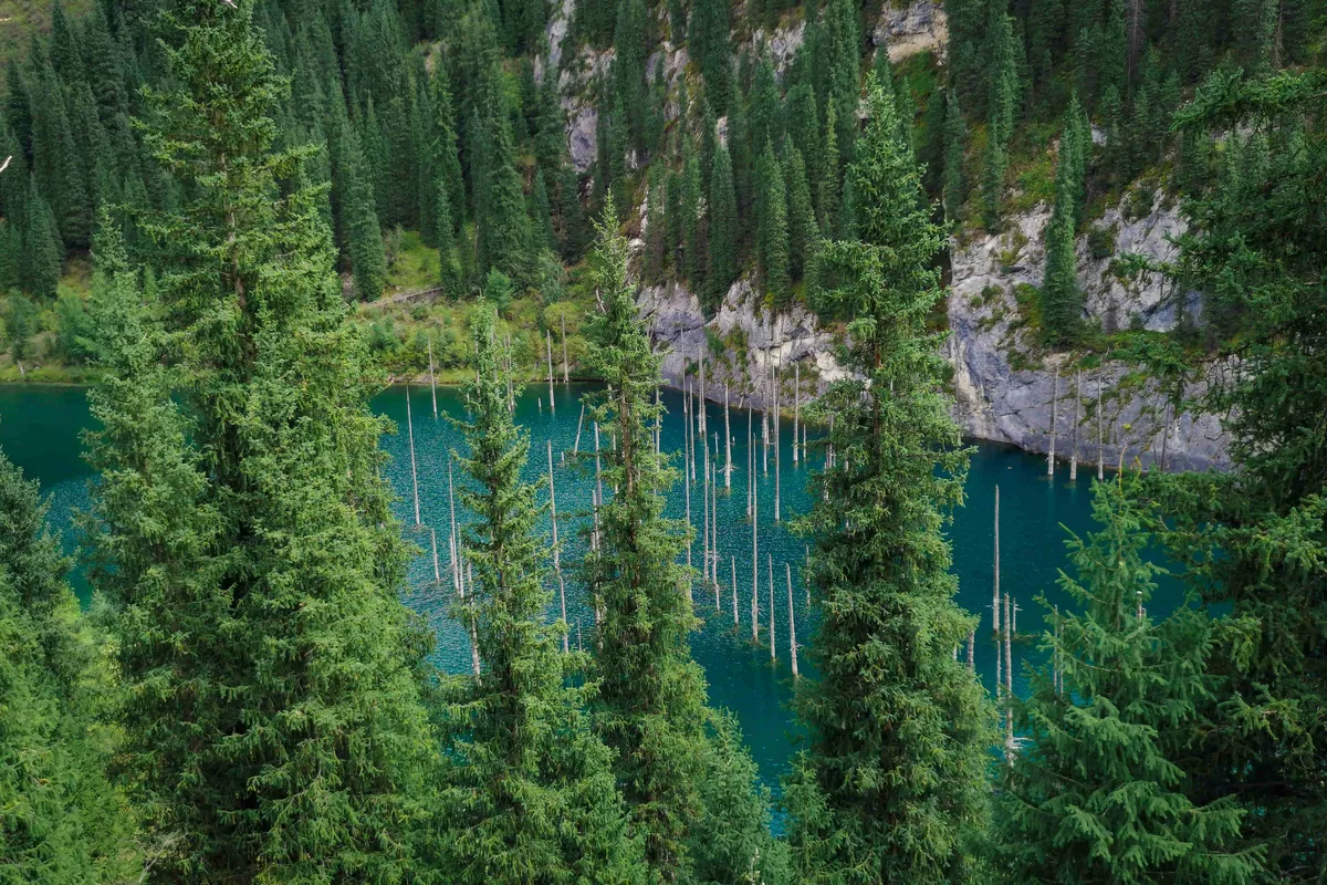 Kazakhstan Revises Forest Law to Enhance Eco-Tourism, Climate Resilience