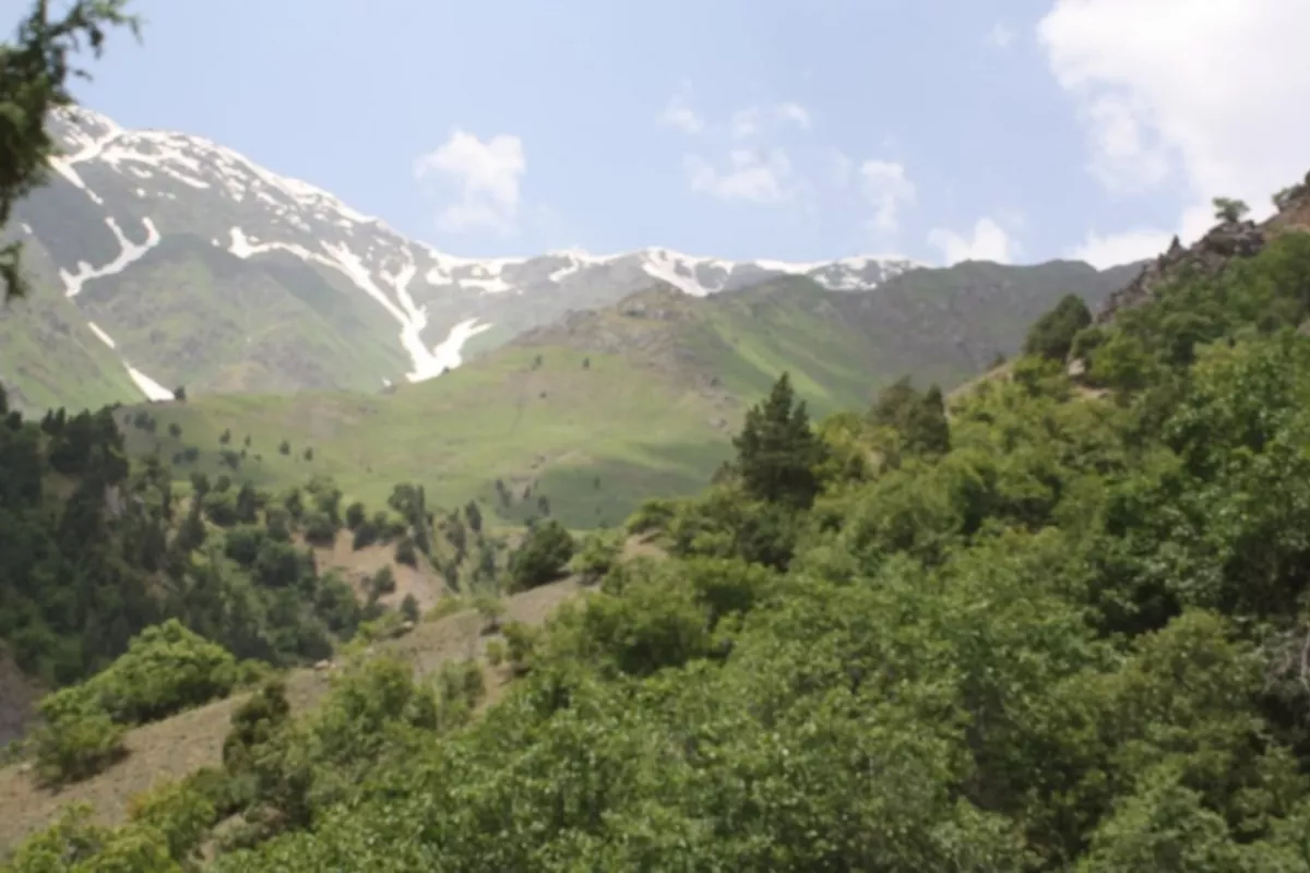 Tajikistan Launches National Biodiversity Strategy to Tackle Climate and Ecosystem Challenges