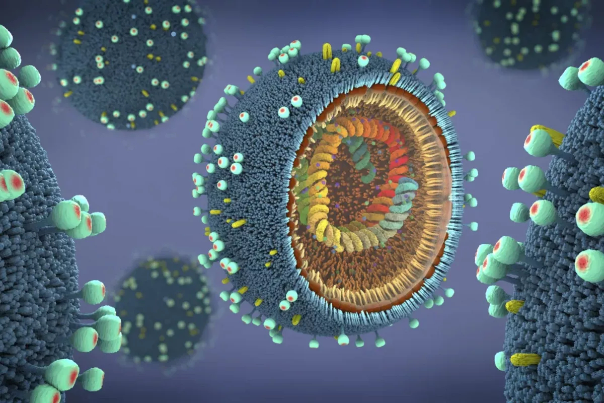 Iran Confirms Spread of Fatal Influenza A Virus Cases