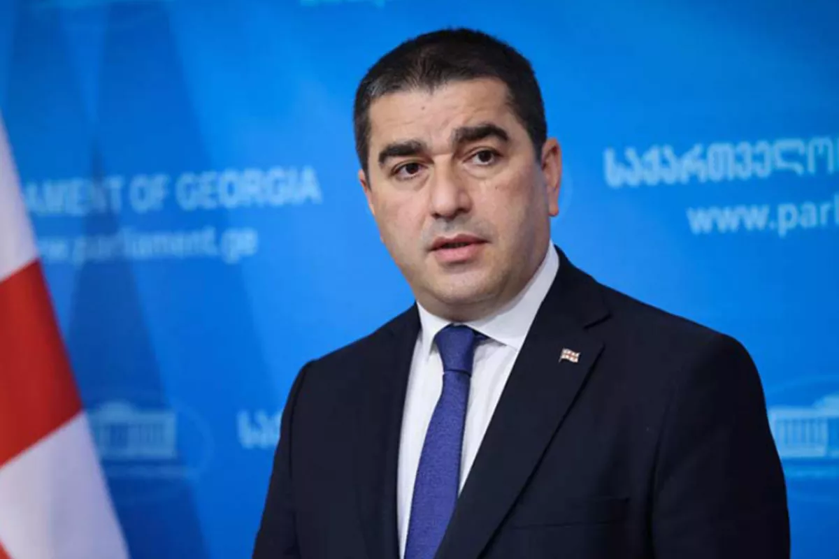 Georgian Speaker: Venezuela Operation Shows EU Decline