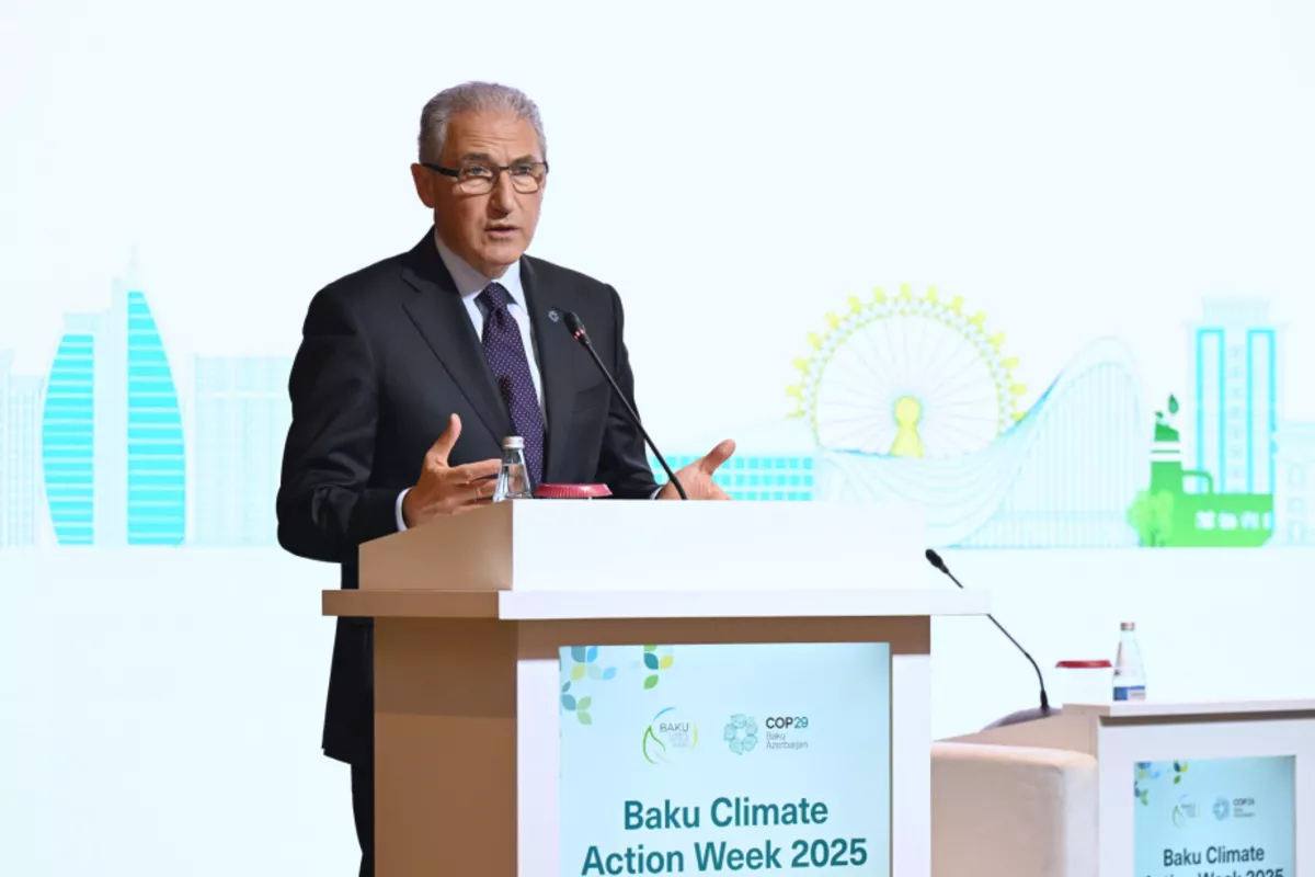 COP29 President: Agriculture and Water Top Priorities in Climate Change Fight