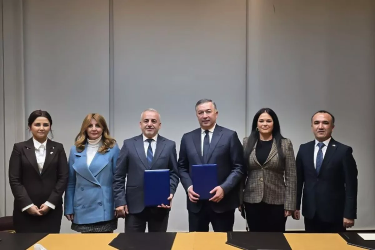 Uzbek Specialists to Work on Türkiye’s Akkuyu Nuclear Plant