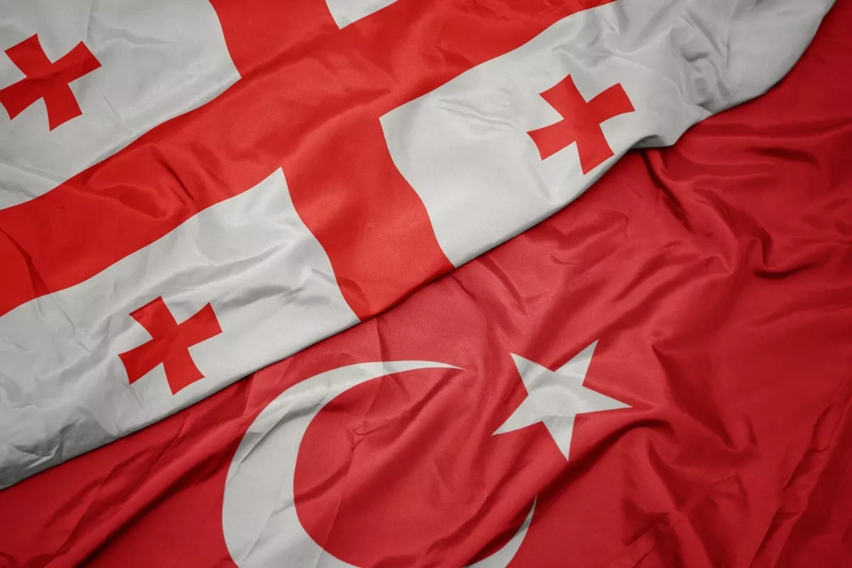 Georgia, Türkiye Sign Forestry and Irrigation Cooperation Agreements