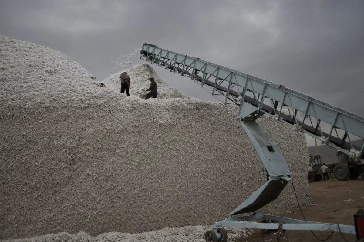 Tajikistan Launches $150 Million Textile Mega-Project with Russia’s BTK Consortium