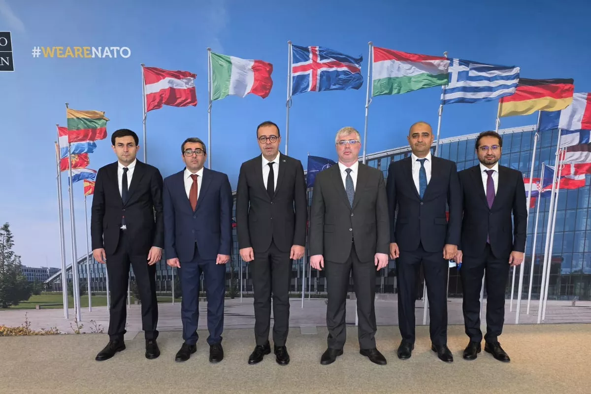 Azerbaijan, NATO Discuss Expanding Cooperation in Humanitarian Demining