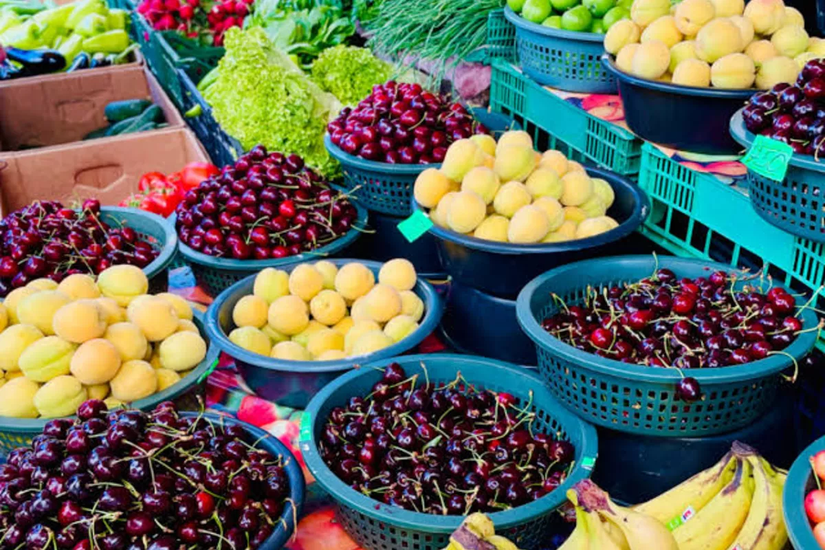 Armenia Boosts Global Exports with First Fresh Fruit Shipment to UAE - VIDEO