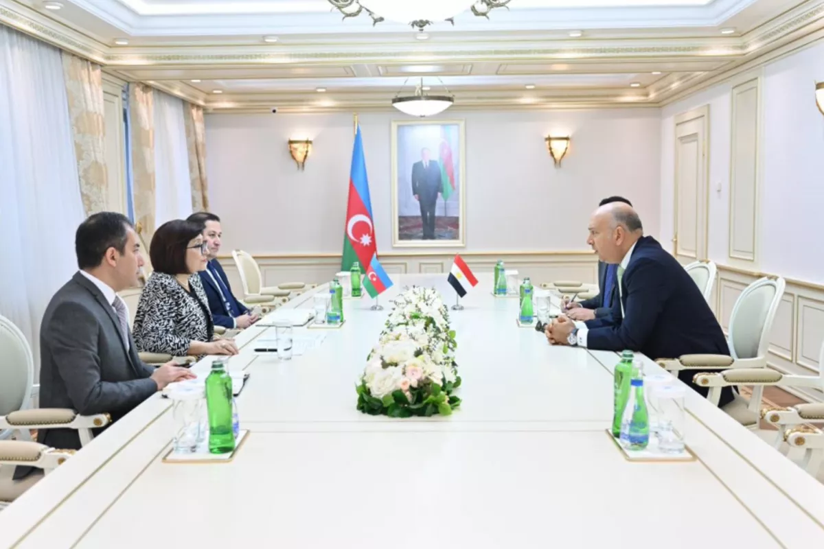 Azerbaijan, Egypt Explore Interparliamentary Relations
