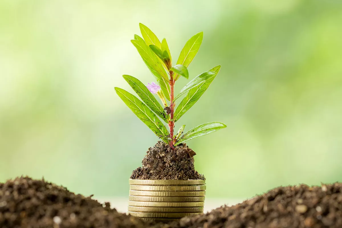 Kazakhstan Quadruples Environmental Spending in First Half of 2025