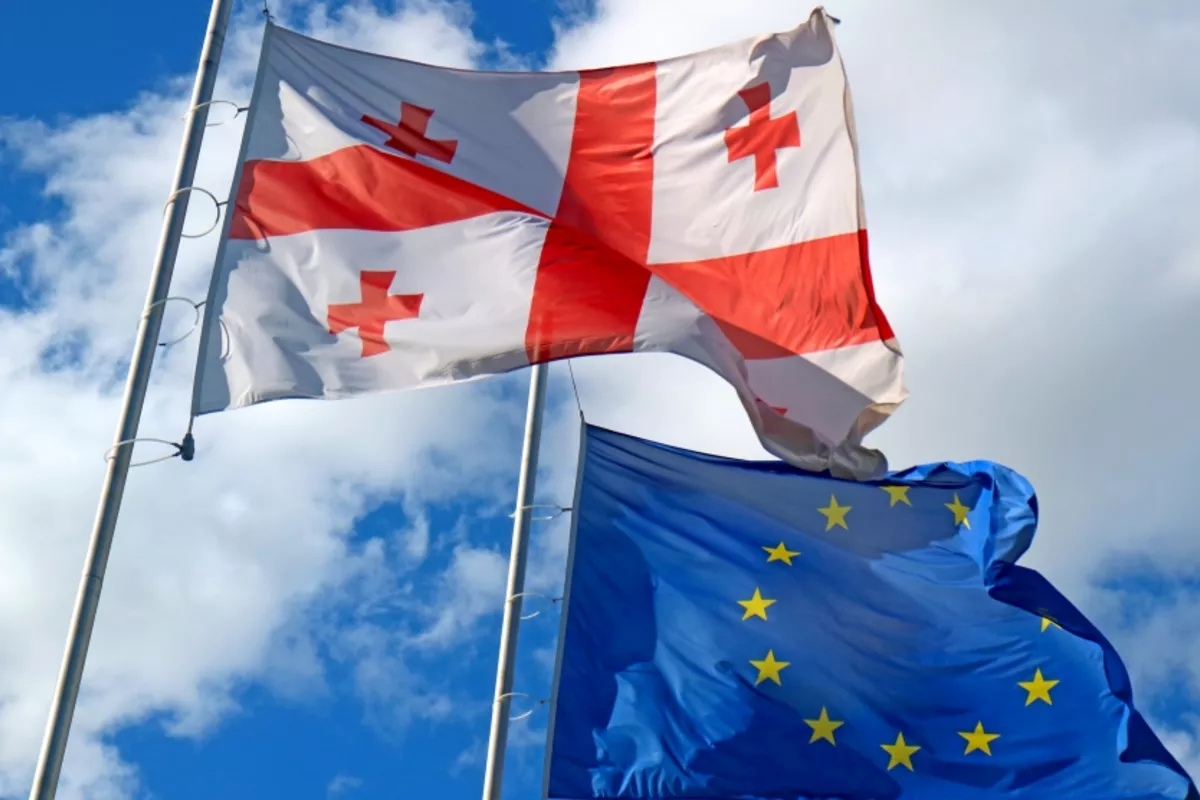 EU Social Democrat Group Meets Georgian Opposition Leaders in Tbilisi