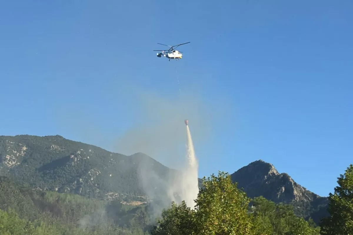 Two Forest Fires Rage Near Türkiye’s Kozan as Strong Winds Fuel Flames