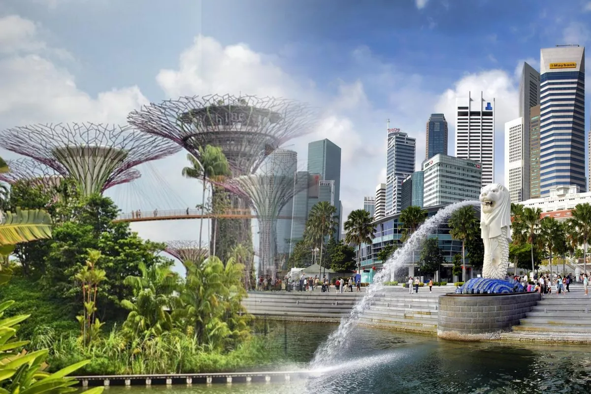 IT Park Uzbekistan in Talks with Singapore’s vSaaS Global to Boost Startup Ecosystem