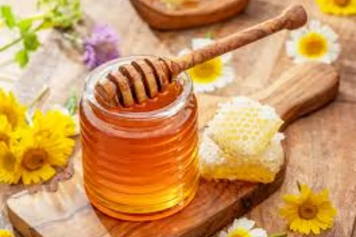 Uzbekistan Boosts Honey Output by 4.8% in H1 2025