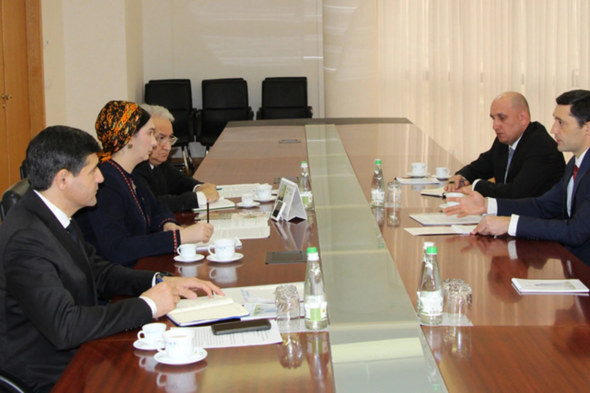 Turkmenistan and CAREC Discuss Key Environmental and Climate Change Challenges