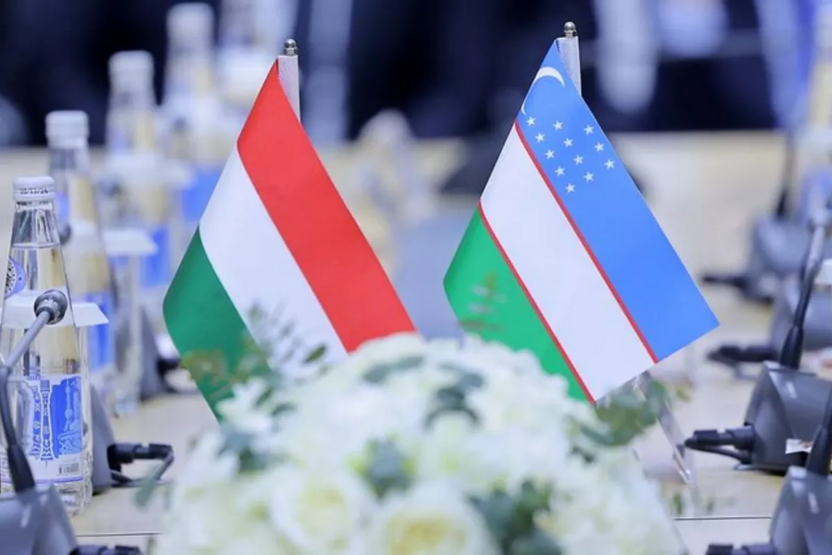 Uzbekistan Eyes Deeper University Collaboration with Hungary’s Óbuda University