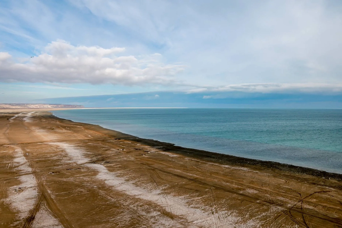 Aral Sea: Record Inflows and Greening Efforts Drive Environmental and Economic Revival