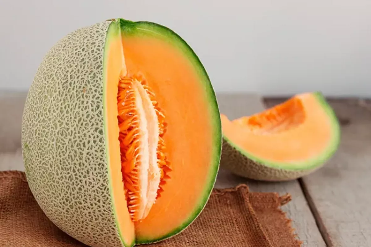 Uzbekistan Sees Big Growth in Melon Exports in H1 2025