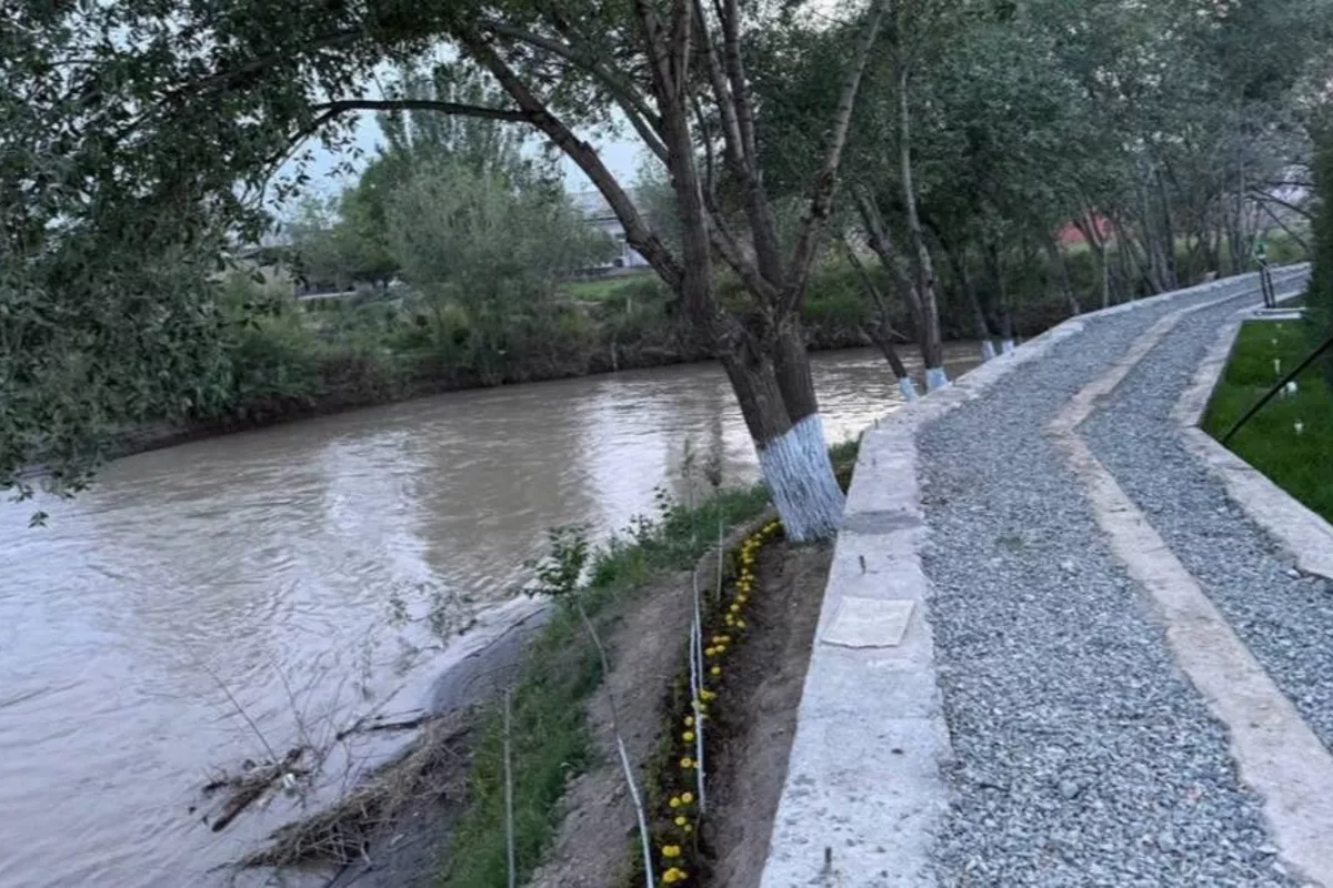 Four Children Die After Electric Moped Plunges Into Canal in Uzbekistan