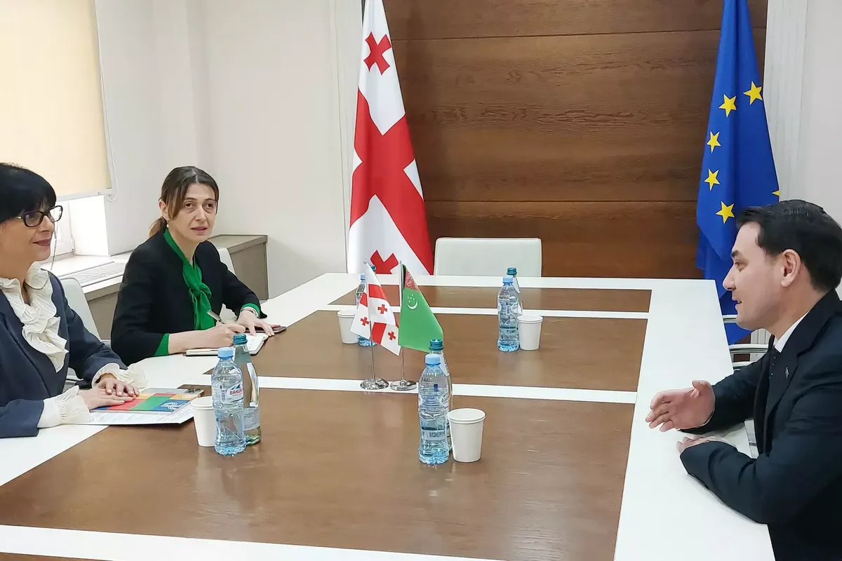 Turkmen, Georgian Officials Discuss Expanding Bilateral Cooperation