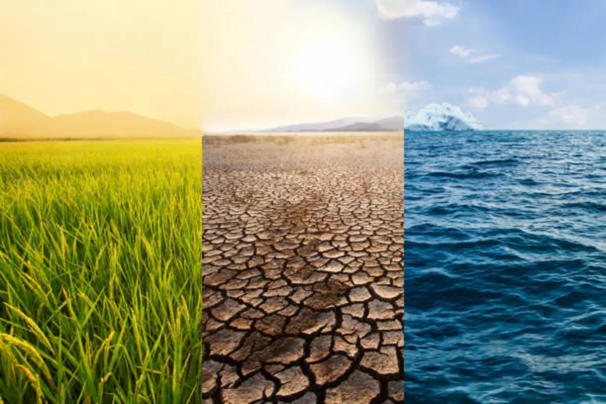 Faulty Uzbekistan Data Undermines Dire Forecast in Climate Study