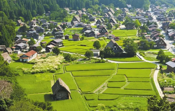 UN Declares July 6 World Rural Development Day to Champion Countryside Progress