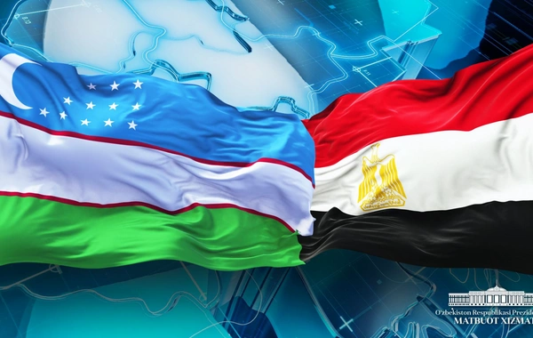 Uzbekistan and Egypt Strengthen Trade and Investment Ties with Agreements