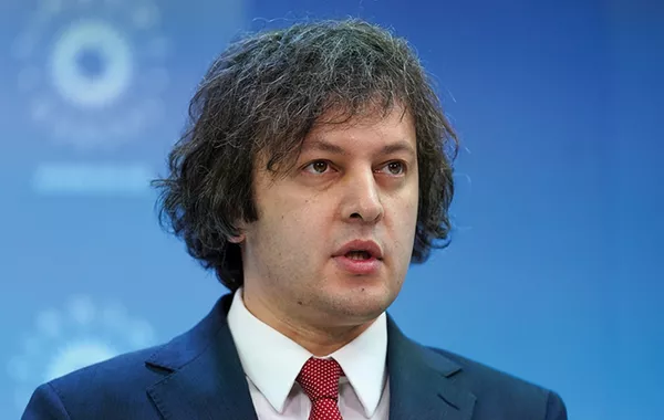 Georgian PM Defends New Protest Laws, Pledges to 'Protect the Majority