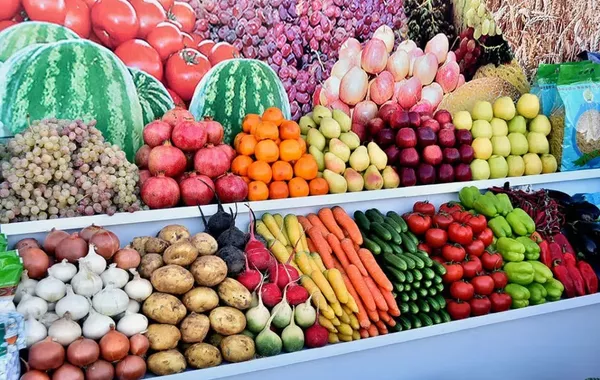 Turkmenistan’s Lebap Shows Strong Rise in Farming Output