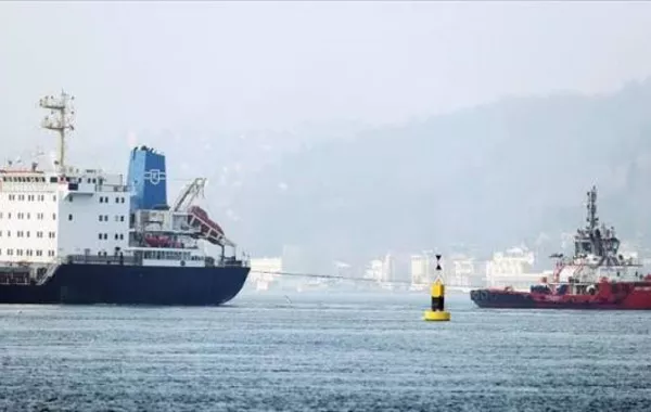 Cargo Ship Runs Aground at Çilingöz Beach in Türkiye's Istanbul