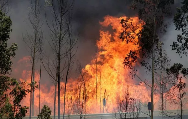 Türkiye Sends Aircraft to Assist in Fighting Wildfires in Iran
