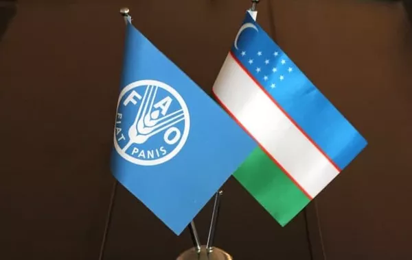 Uzbekistan Joins FAO Council, Marking Milestone in Global Agricultural Leadership