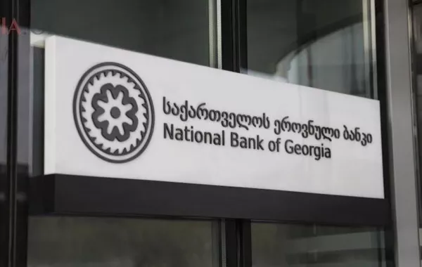 Georgia’s Currency Reserves Reach Record High