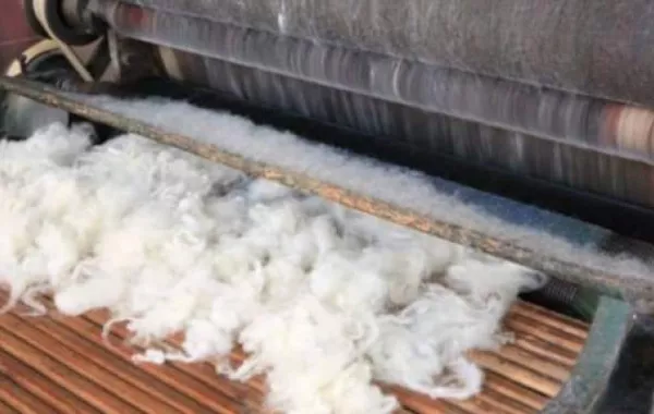 Kyrgyz Agriculture Ministry Announces Joint Textile Project with Mongolia