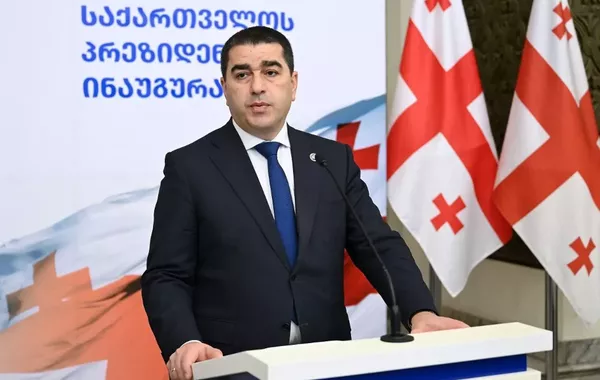 Georgia Dismisses Russian Warning Over EU Membership