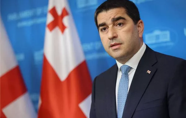 Georgian Parliament Speaker: Emerging Value Divide Between US and Brussels