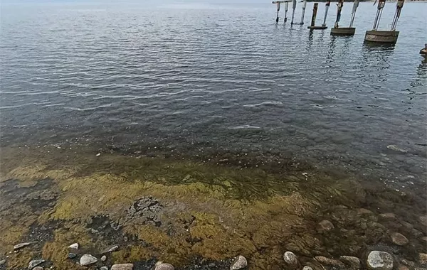Kyrgyz Scientists Warn Issyk-Kul May Turn Into Polluted Swamp