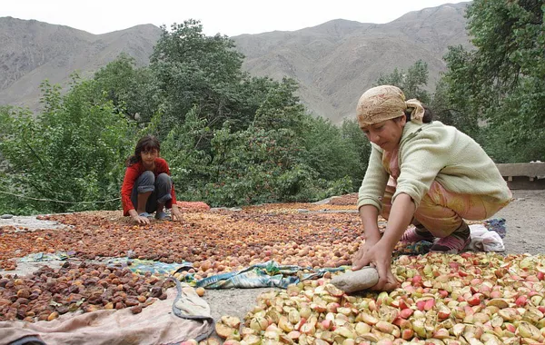 Tajikistan Unveils Major Export Boost Program with New Support Centers and Schools