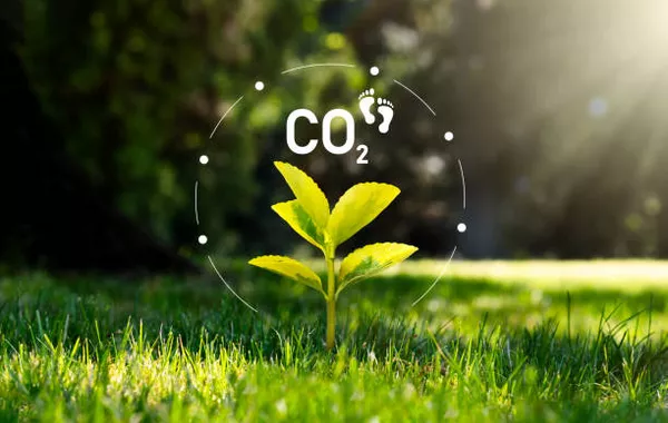 Kyrgyzstan Sets Ambitious Goal to Achieve Carbon Neutrality by 2050