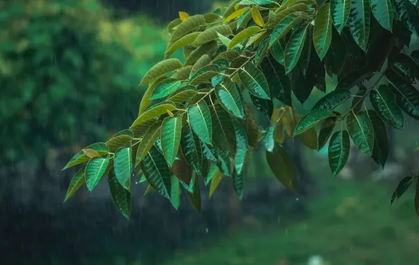 Weekend Weather Turns Severe in Kazakhstan