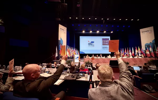 Georgia Boycotts OSCE Vote Over Democracy Criticism