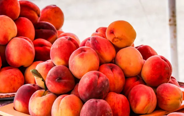 Tajikistan’s Peaches - Sweet Taste of Heritage and History