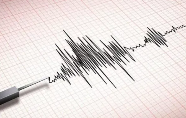 Magnitude 3.1 Earthquake Strikes Georgia