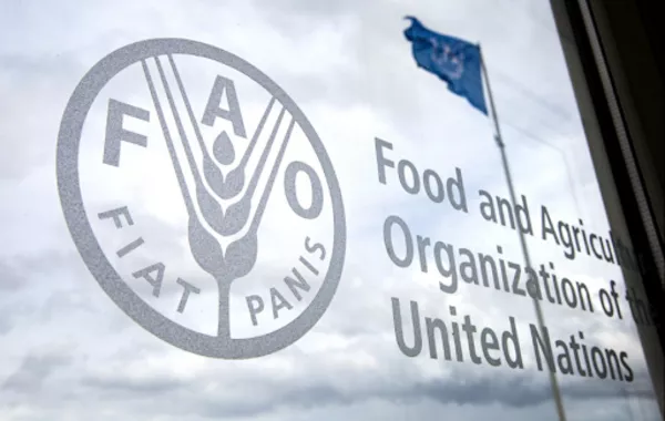 FAO Opens Doors in Kyrgyzstan Following Presidential Approval