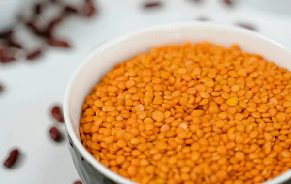 Kazakh Farmers Hit Gold with Record Legume Yields