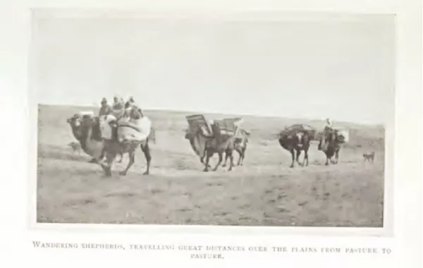 British Scholar Offers Insight into Kazakh Life a Century Ago